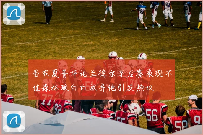 香农夏普评论兰德尔季后赛表现不佳森林狼白白放弃他引发热议